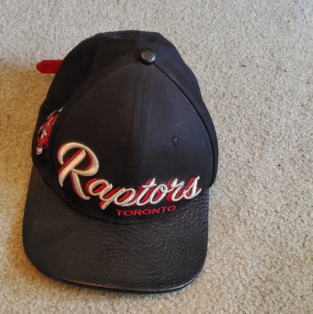 Raptors hat snap back